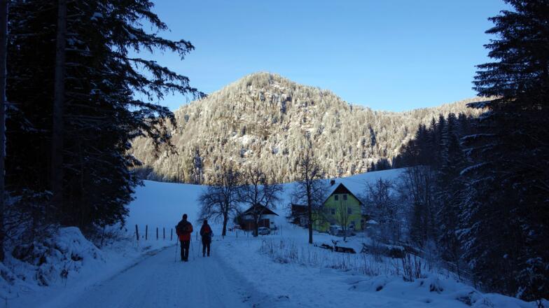 Am Güterweg ~785m mit Pitschstein 1088m
