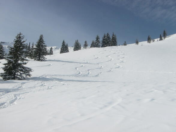 Perfekter Skigenuss
