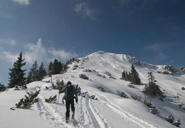 Am Beginn des Ostrückens