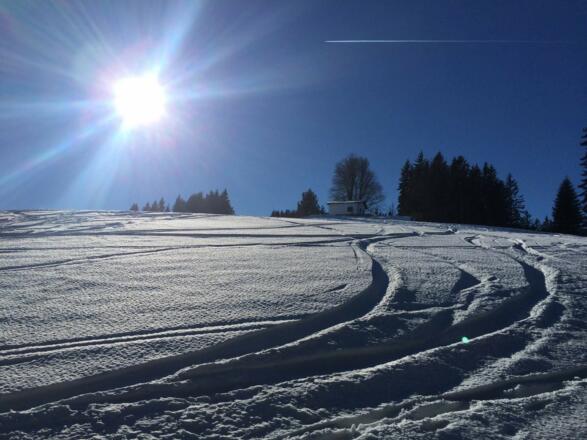 Schneeschuhwandern am Glasenberg
