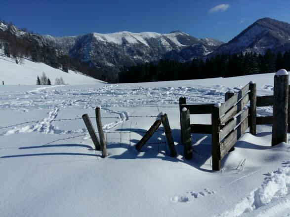 Schneeschuhtour - Gschwendtalm-Gamsstein