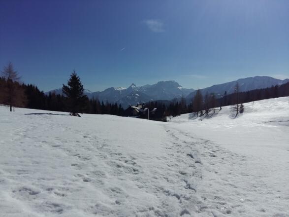 Schneeschuhtour - Schüttbauernalm (von Niglalm)