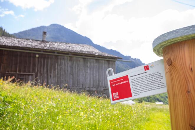 Informationsstele Alpenmosaik Montafon