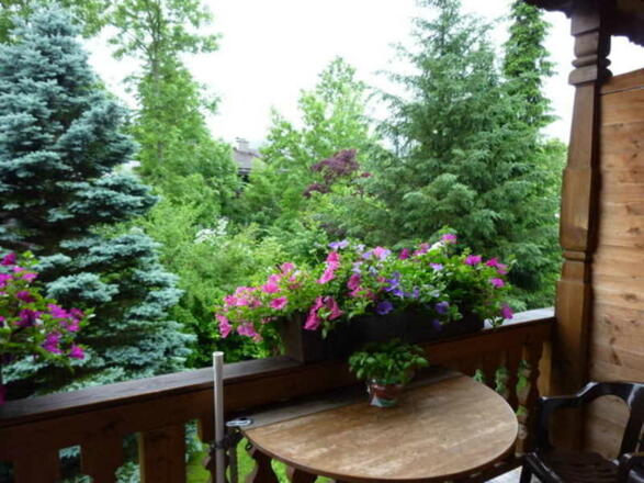 Blick vom Balkon ins Grüne