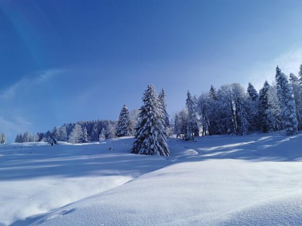 Verschneite Landschaft in Schetteregg