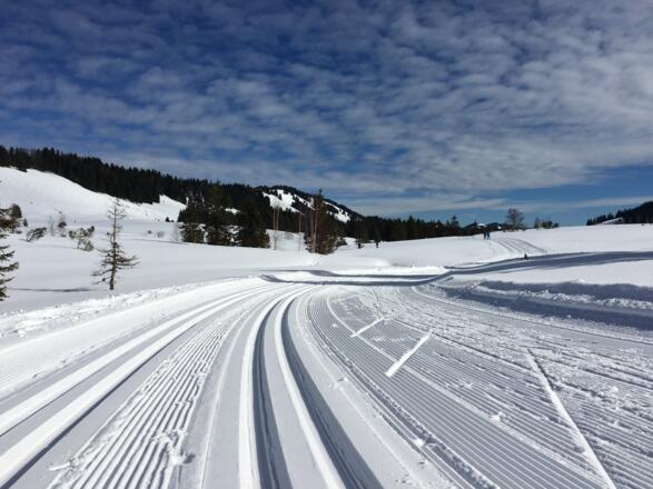 Perfekt präparierte Loipen