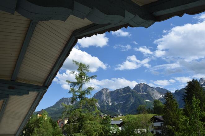 Ausblick