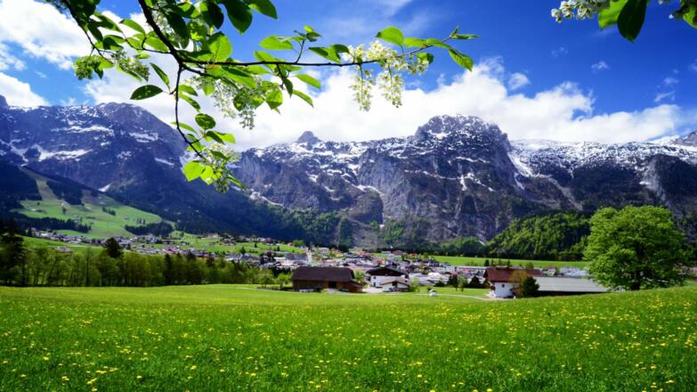 Abtenau Frühling_web