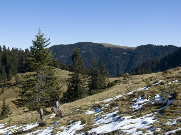 Von den Wiesenhängen bei der Moosenalm sieht man gut zum Kotzen hinüber, einem einsamen Bergwanderziel.