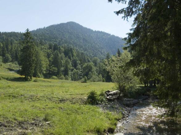 Ausblick von der Laineralm zum Staffel