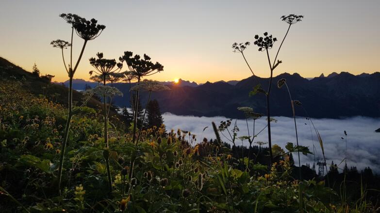 Kurz vor Sonnenaufgang