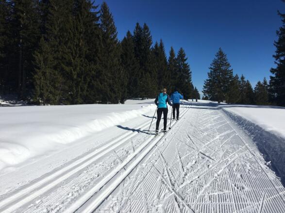 Die anspruchsvolle Hörmoos Loipe
