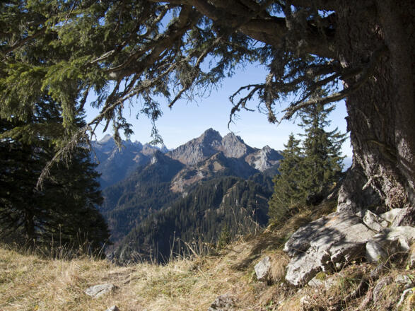 Beim Anstieg zum Hennenkopf zeigt sich immer wieder die markante Große Klammspitze.