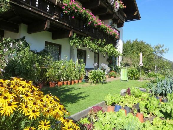 Terrasse und Garten