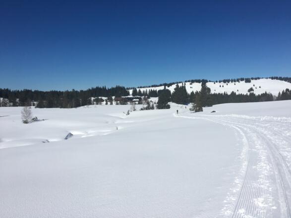 Blick auf den Alpengasthof Hörmoos