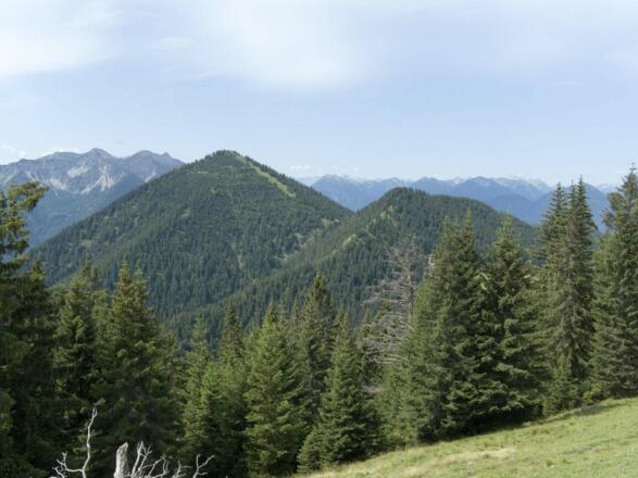 Blick zu Hirschberg und Ölrain