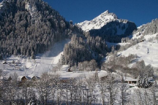 Blick von den Bungalow - Chalet -Ferienhaus