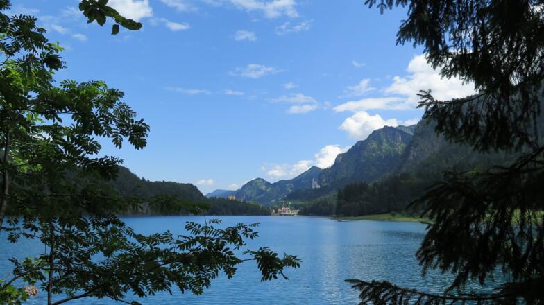 Der Alpsee