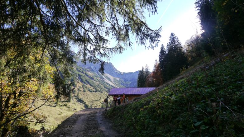 Mitterhof mit Blick Richtung Schänzlespitze