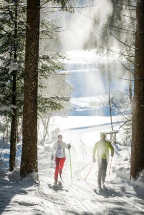 Langlaufen Tiefbrunnau (c) Fuschlseeregion - Erber