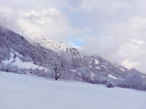 Unterwegs auf der Brazer Allmein