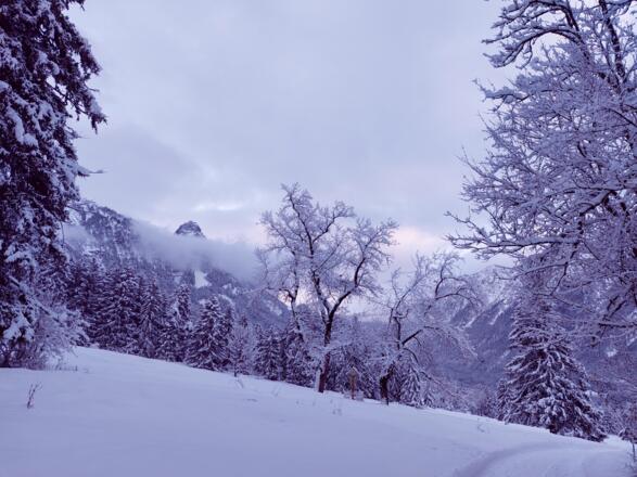 Blick zurück zum Allmeinkreuz, im Hintergrund der Roggelskopf