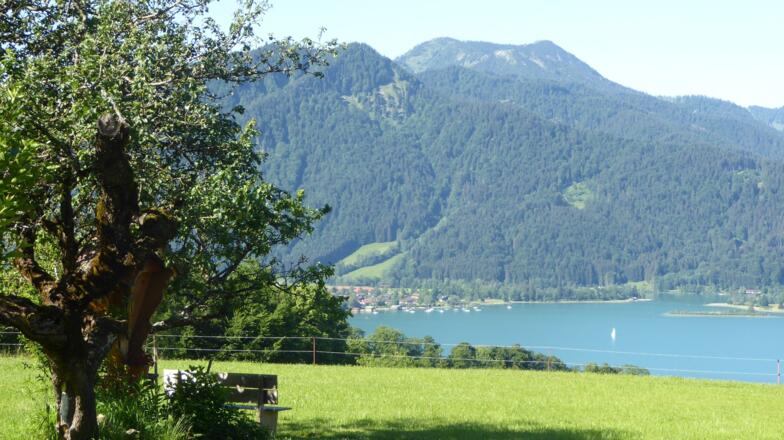 Kohlhaufhof Blick auf den See