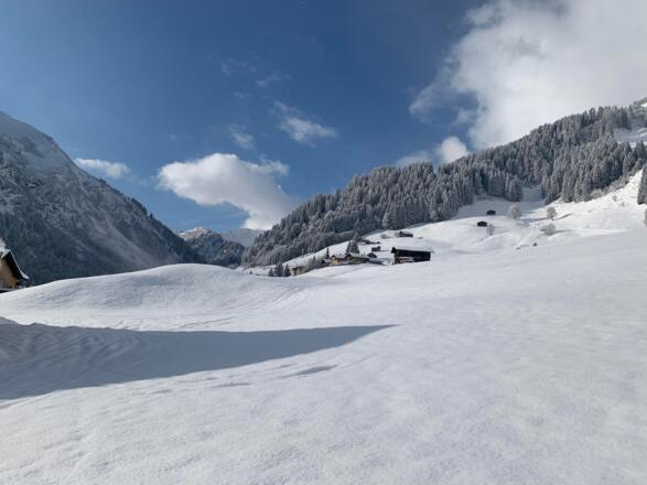 6B0337A1-1CA4-440B-A551-4CFD7C9CB553