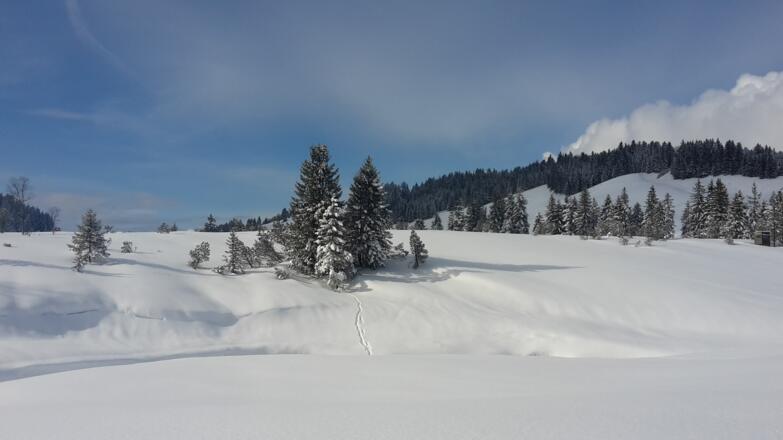 Winterlandschaft am Hochhäderich