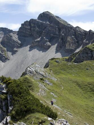 Einfaches Gehgelände beim Übergang zum Feldernkopf (hinten die Reißende Lahnspitze)