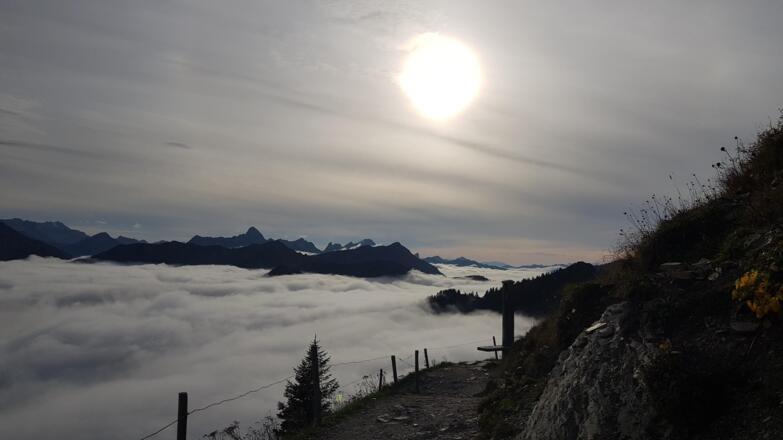 Wanderung über dem Nebel