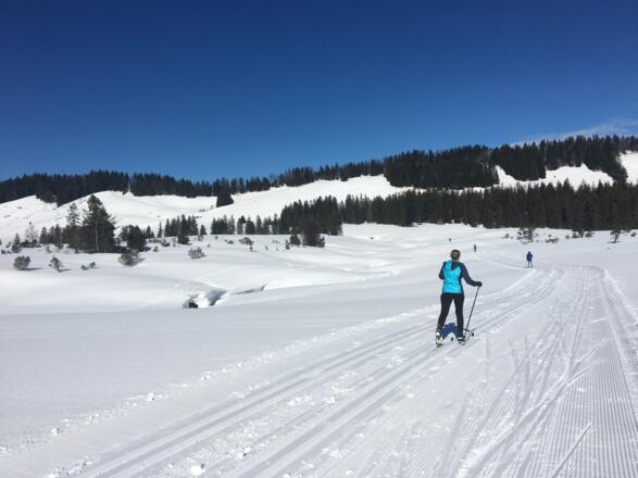 Tolle Langlaufloipen am Hochhäderich