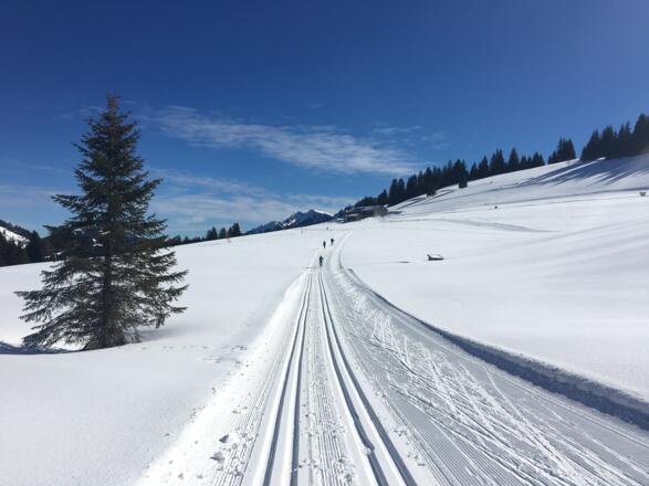 Anstieg zum Berggasthof Hochwies