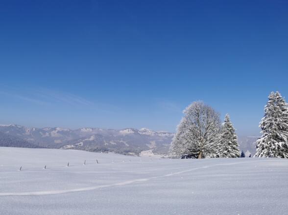 Winterwandern in Schetteregg