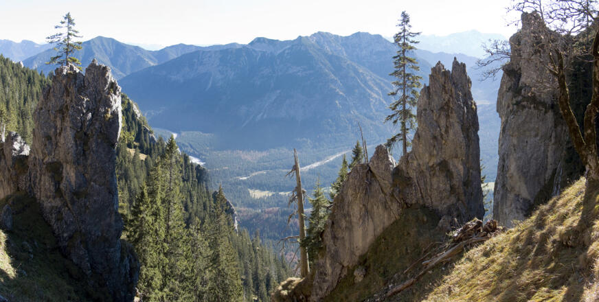 Felsenzacken am Abstiegsweg in der Nähe des Latschenkopfs