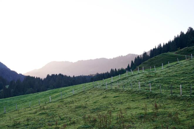 Das Lecknertal