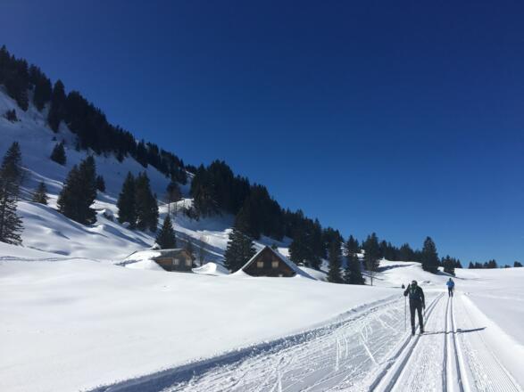 Runde um den Hörmoossee