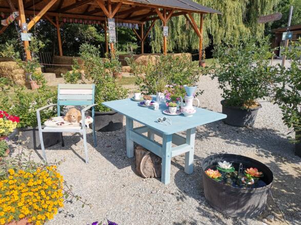 BeerenCafé Gartenbereich