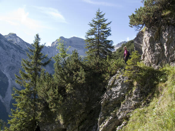 Beim Übergang von der Fischbachalm zum Soiernhaus auf dem Lakaiensteig ...