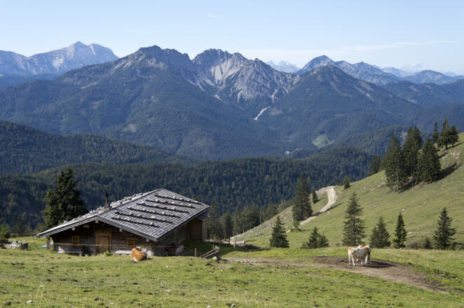 Die malerische Kümpflalm, in deren Nähe der Bär Bruno sein Leben lassen musste