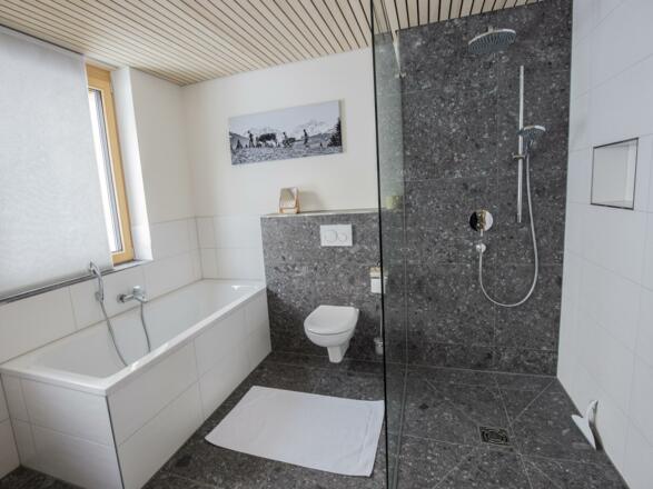 chalet_alpenluft38