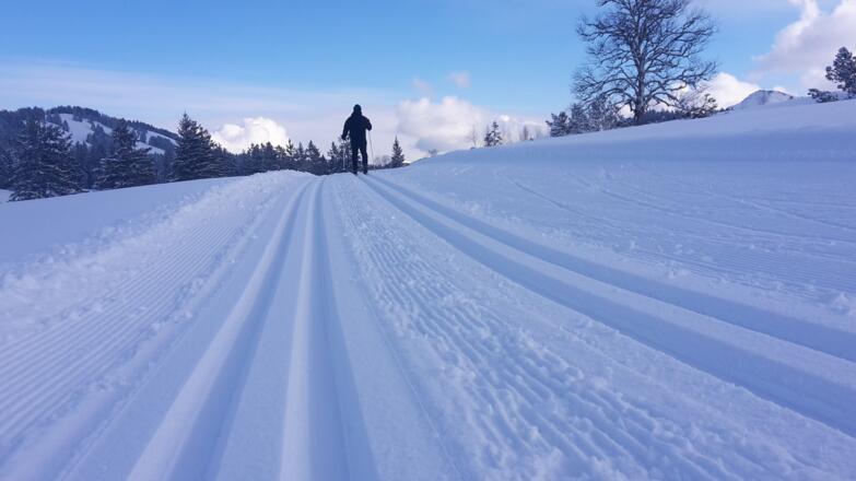 Loipe am Hochhäderich