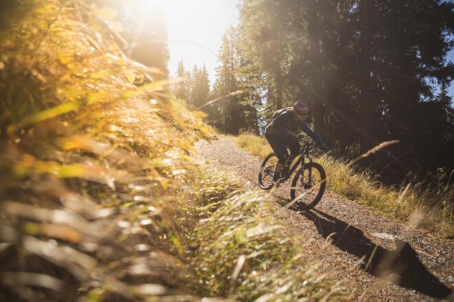 media-mountainbiken_7