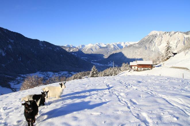 Bergbauernhof Burkert