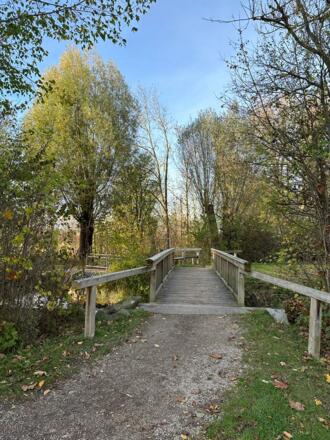 Brücke im Bürgerpark