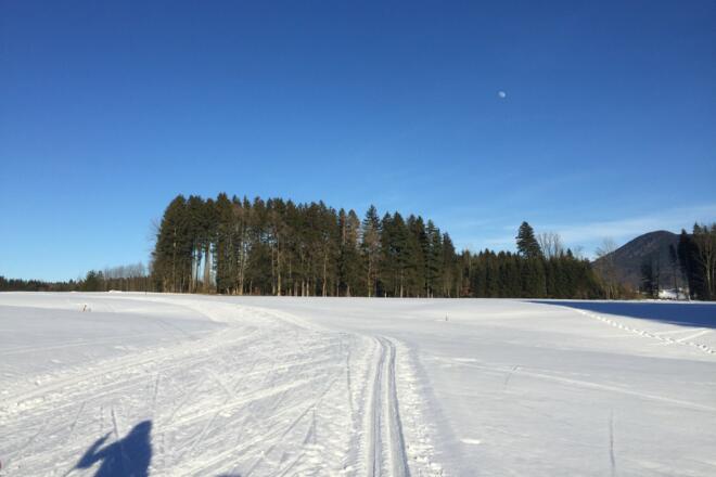 Loipenparadies Samerberg