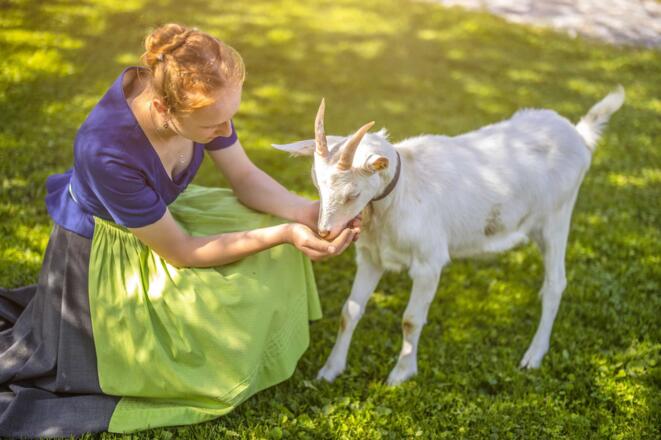 Ziege mit Sophie