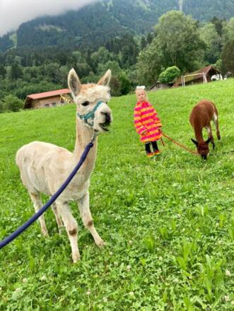 whatsappimage2022-10-31at2286.42.34