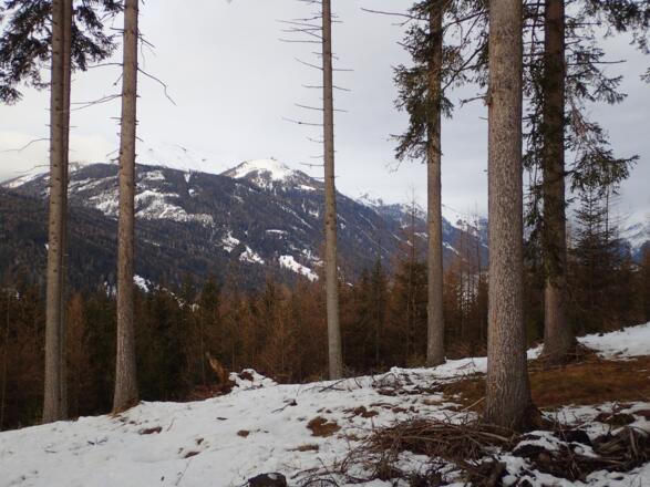 Speiereck und Großeck