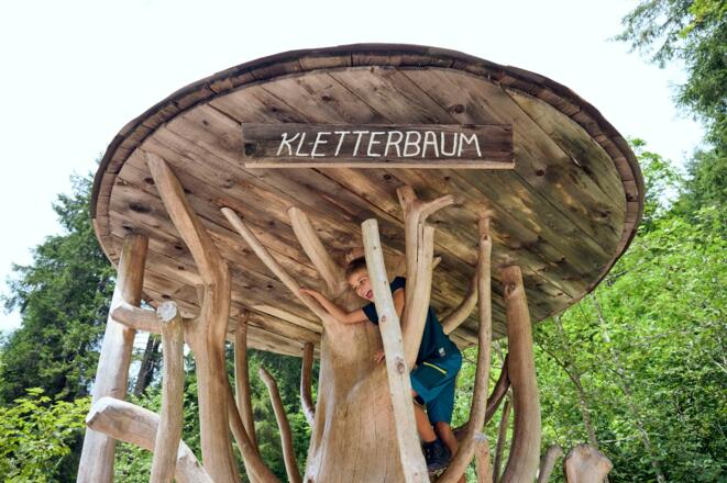 Klettern am Kletterbaum